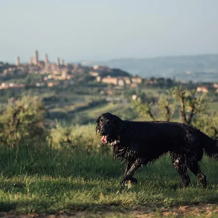 Fattoria San Donato-2